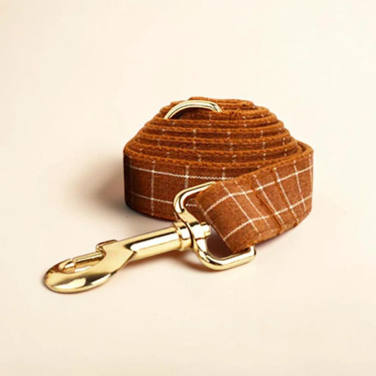 Brown plaid dog lead with gold clip on a beige background