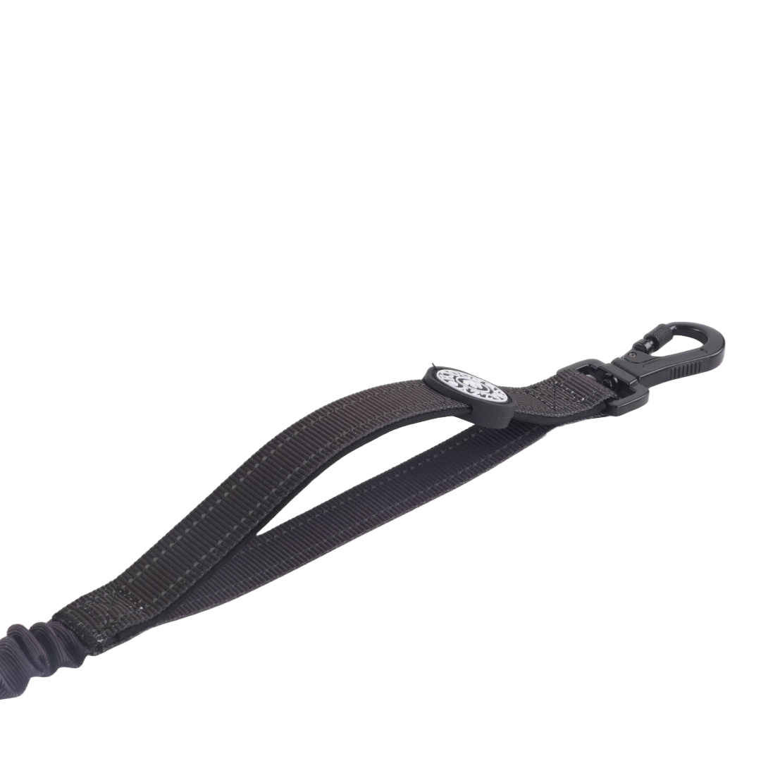 Close-up of a dark grey/black dog lead with a black clasp.