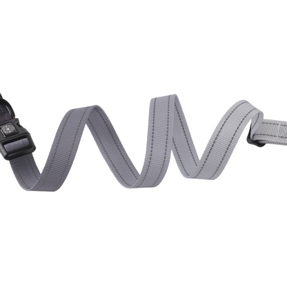 black/Grey dog lead coiled on white background.