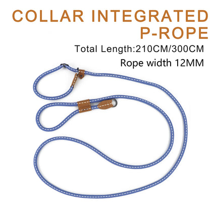 Collar integrated P-rope with blue rope and brown leather ends on a white background