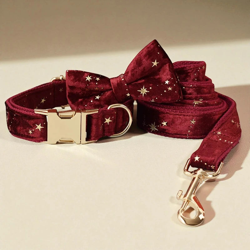Red velvet dog collar and leash set with gold hardware on a beige background