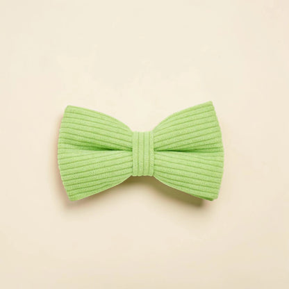 Green dog bow tie on a beige background