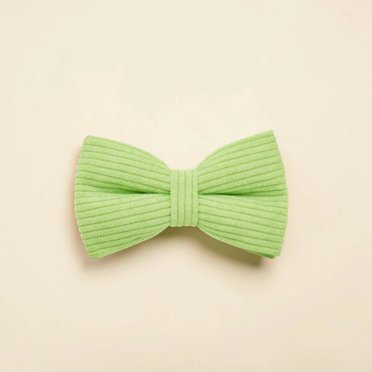 Green dog bow tie on a beige background