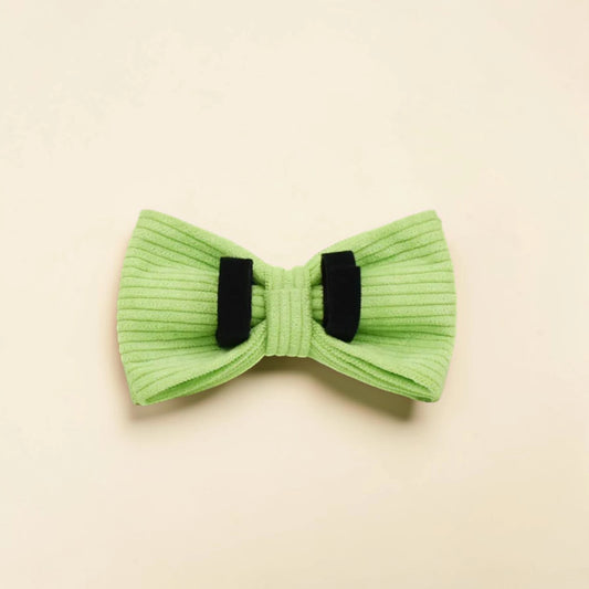 Green detachable dog bow tie on a beige background