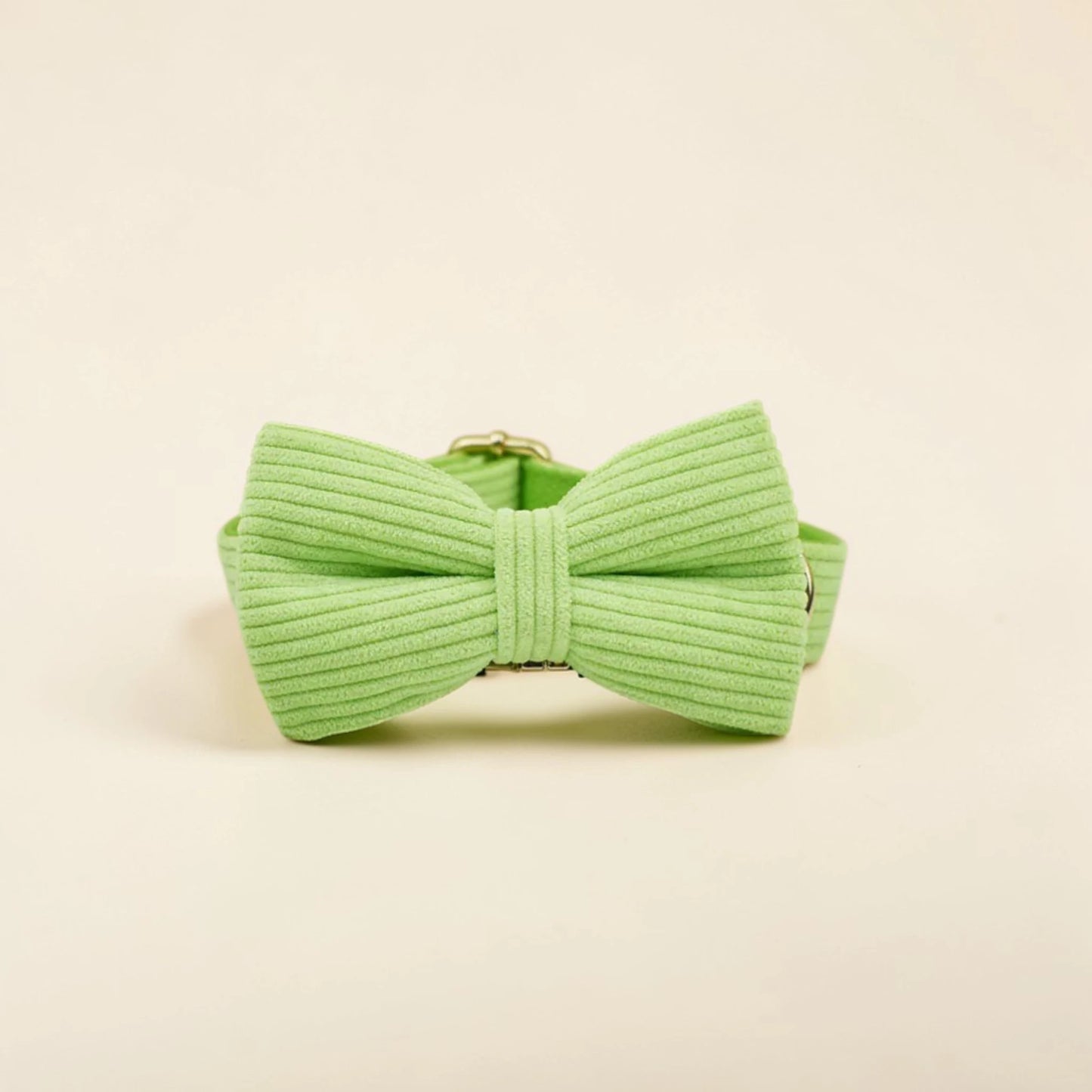 Light green dog bow tie on a beige background