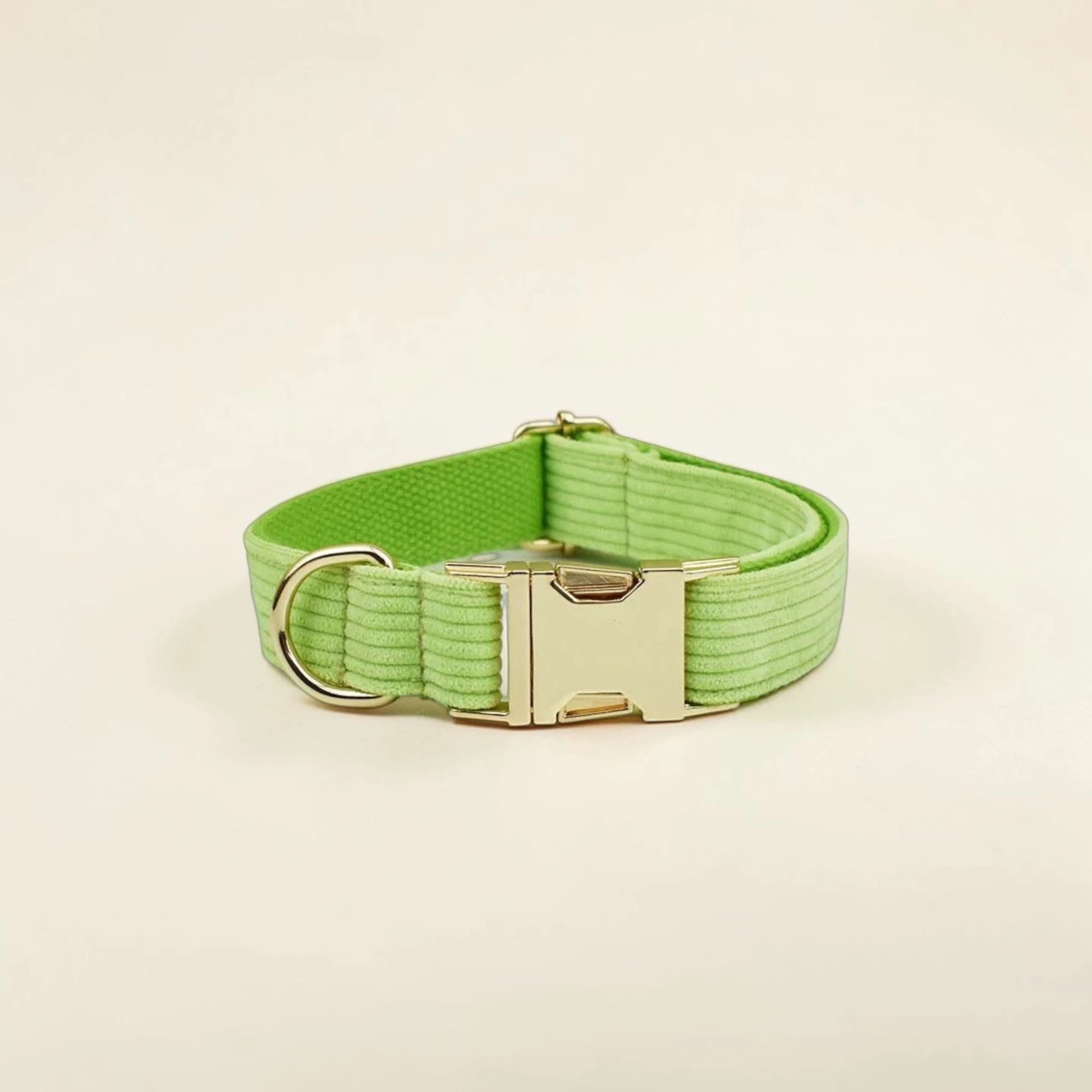 Green dog collar with a gold buckle on a beige background