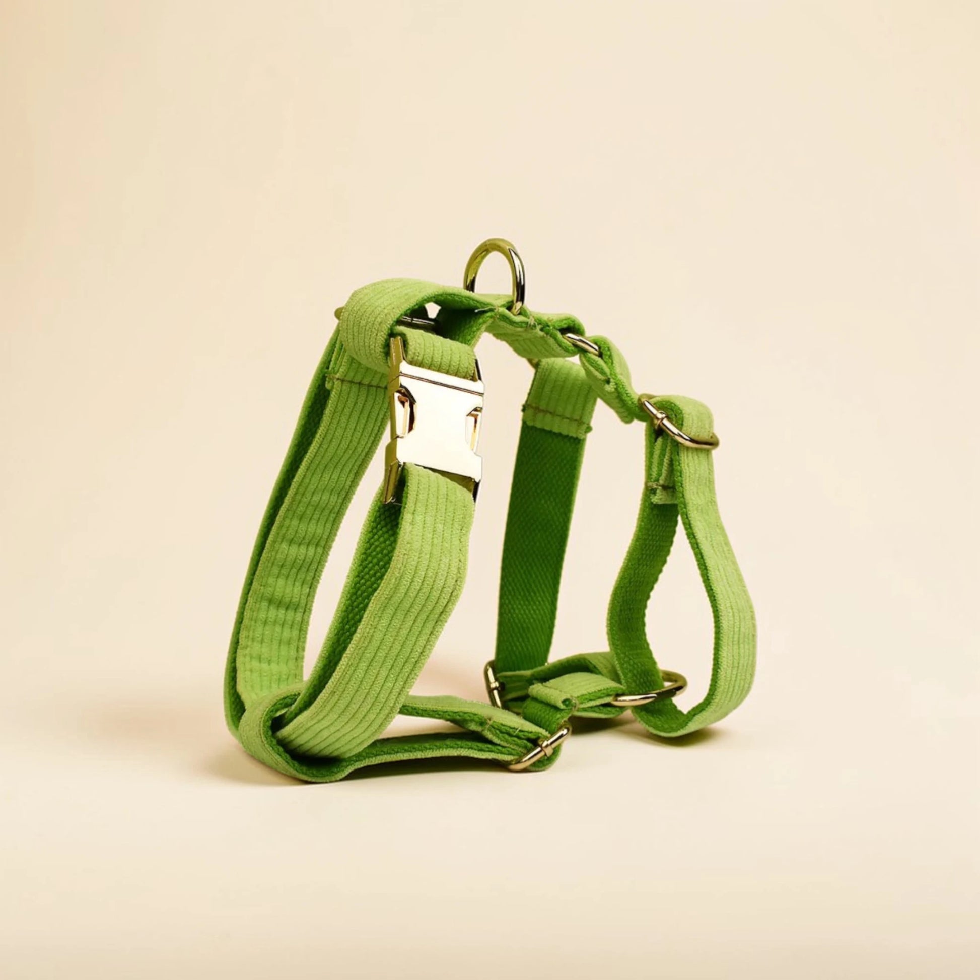 Green dog harness on a beige background