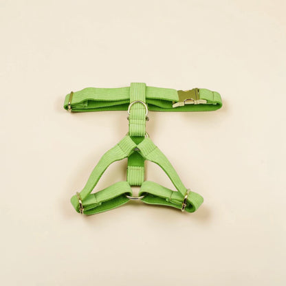 Green dog harness on a beige background