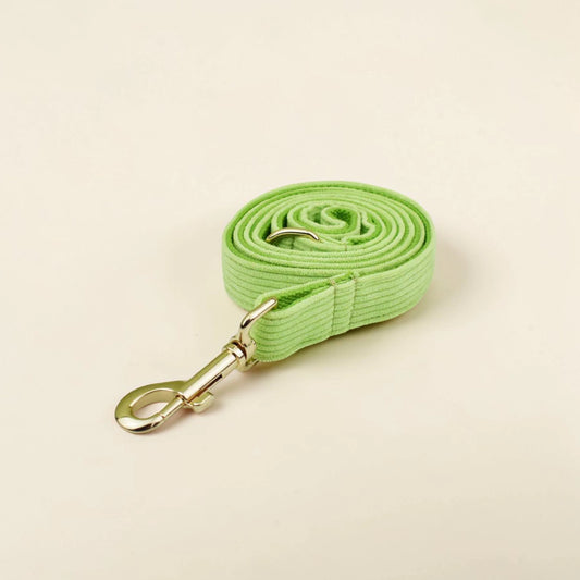 Green dog lead with gold clip on a beige background