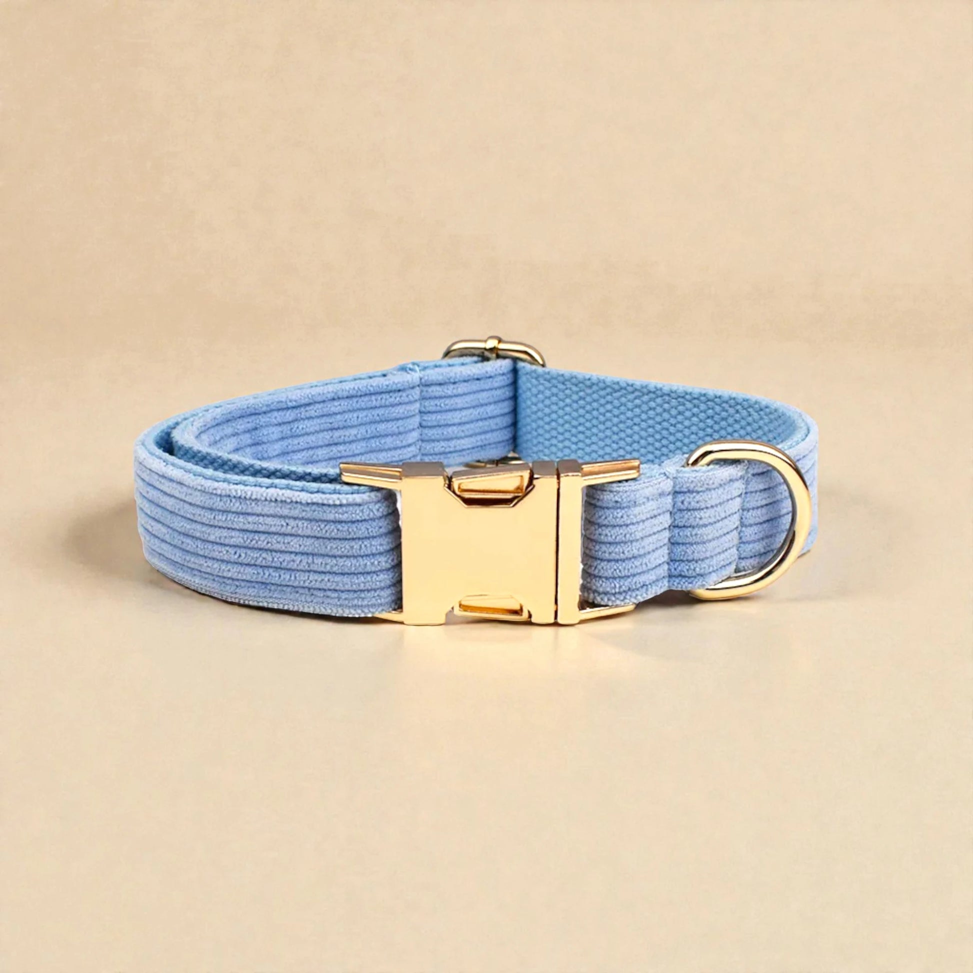 Light blue dog collar with a gold buckle on a beige background