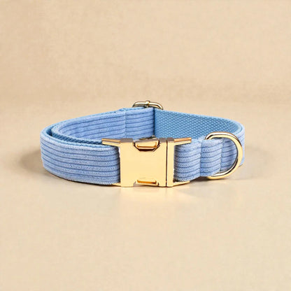 Light blue dog collar with a gold buckle on a beige background