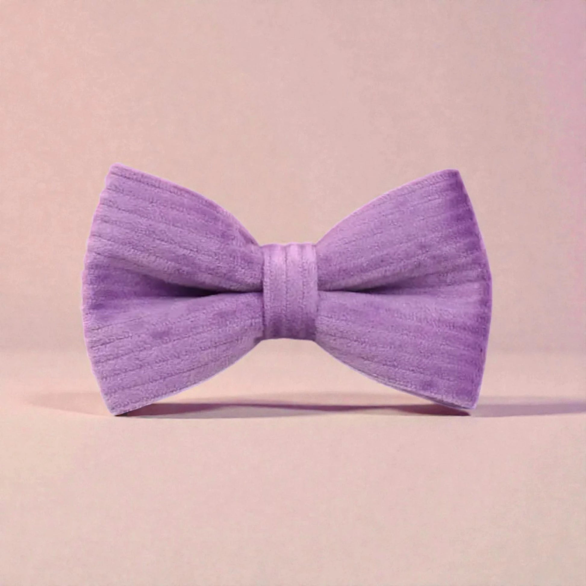 Purple bow tie on a pink background