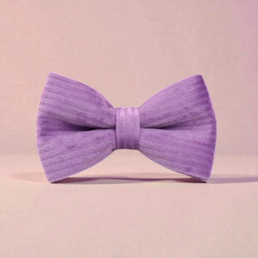Purple bow tie on a pink background