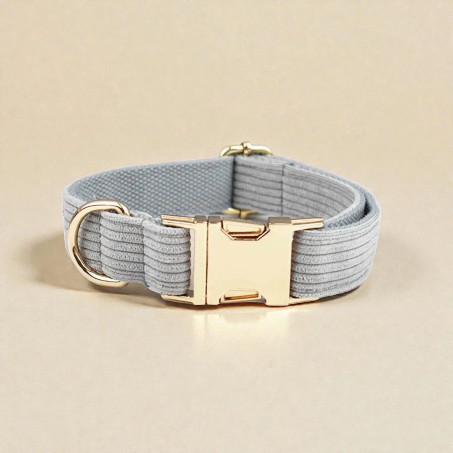 Grey dog collar with a gold buckle on a beige background