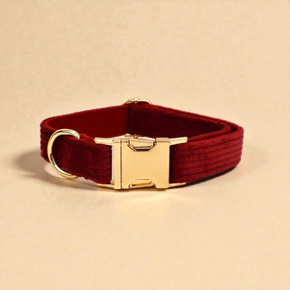 Red dog collar with a gold buckle on a beige background
