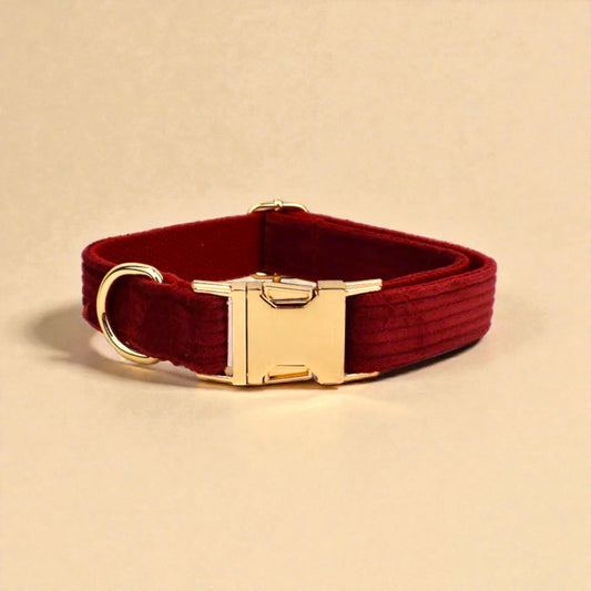 Red dog collar with a gold buckle on a beige background
