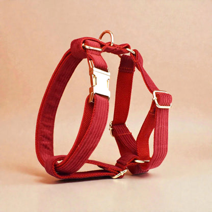 Red dog harness with gold hardware on a beige background