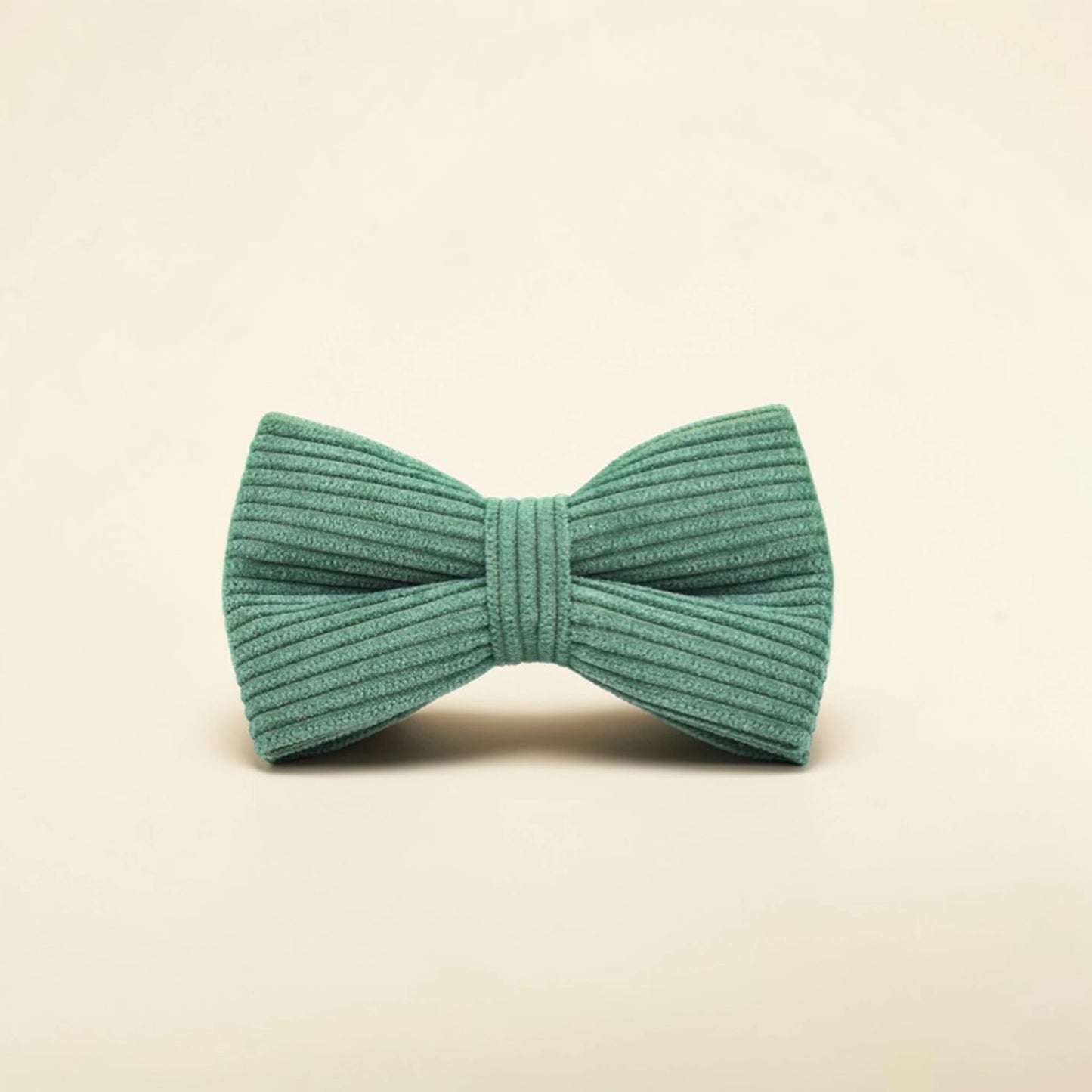 Green dog bow tie on a beige background