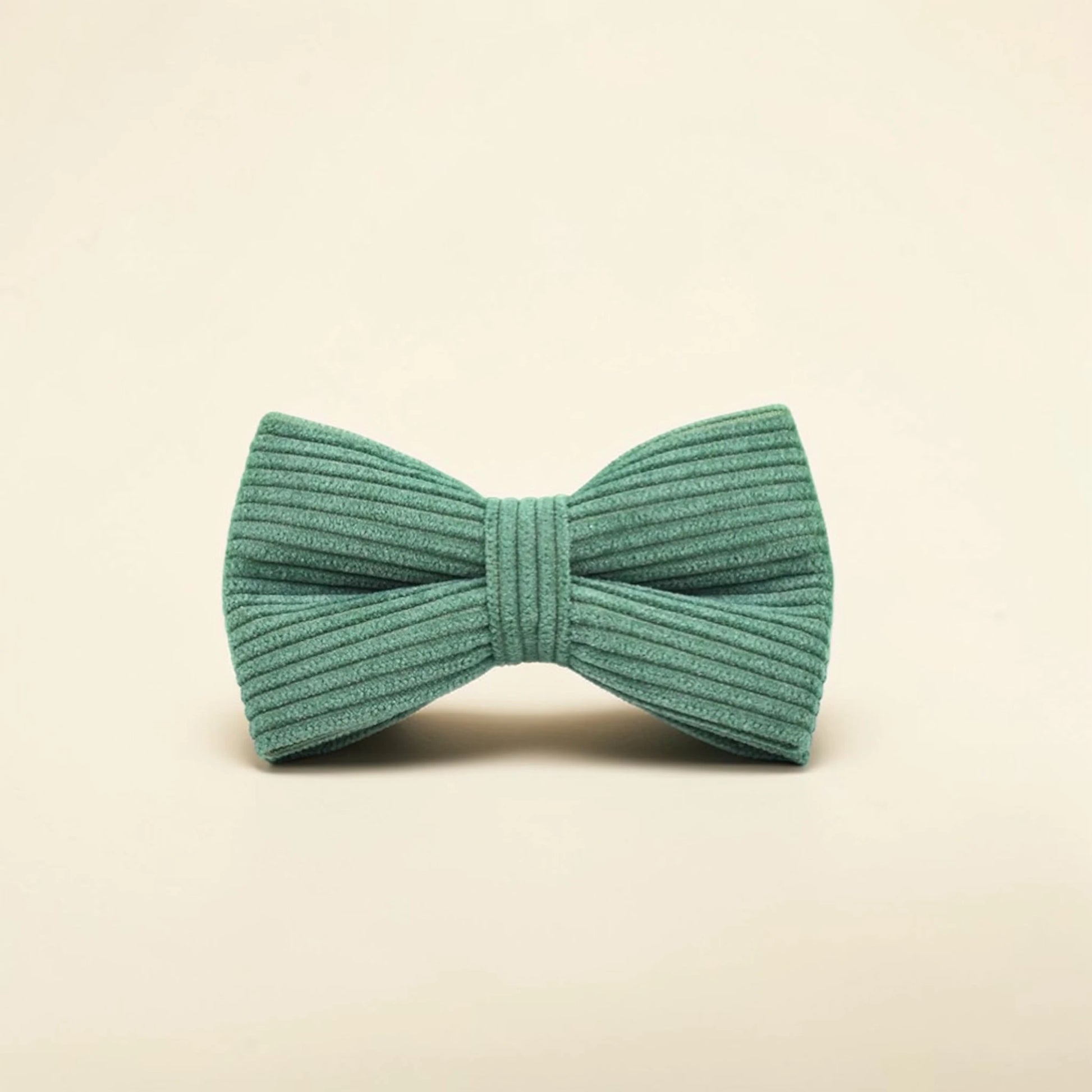 Green dog bow tie on a beige background