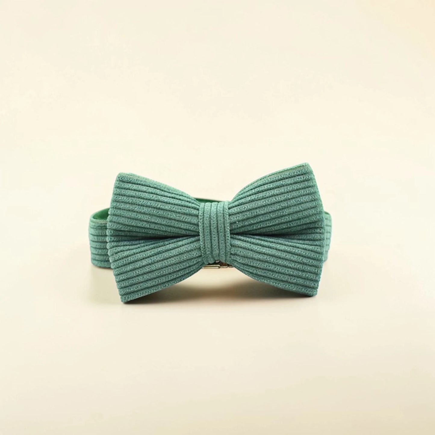Green dog bow tie on a beige background