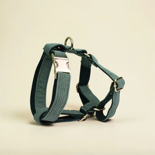 Green dog harness on a beige background