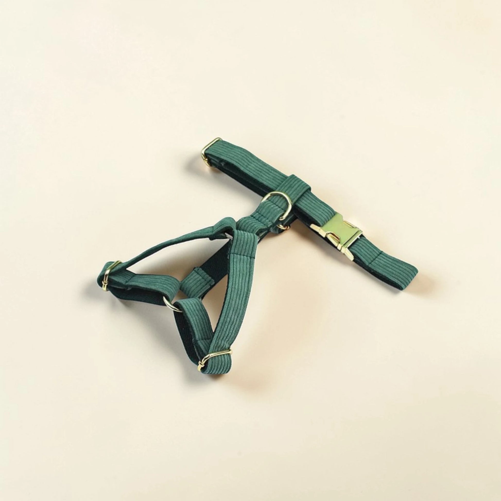 Green dog harness on a beige background