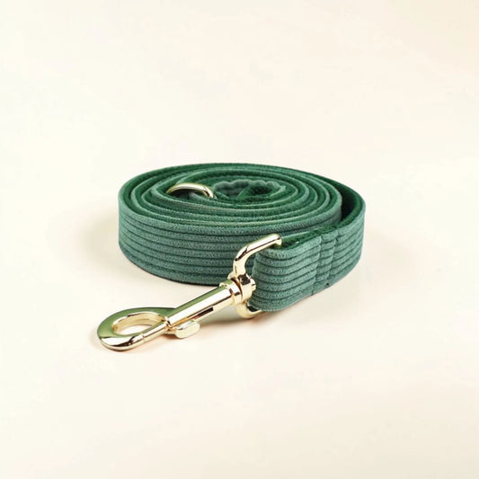 Green dog lead with gold clip on a beige background