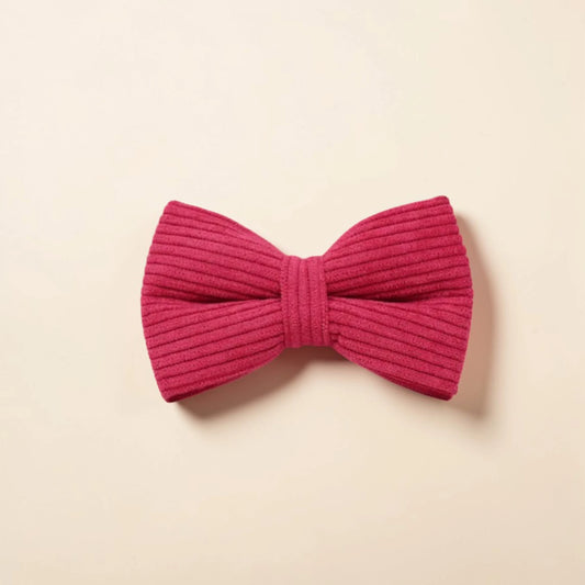 Pink dog bow tie on a beige background