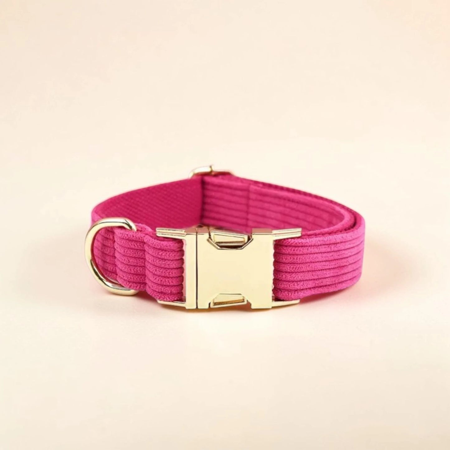 Pink dog collar with gold buckle on a beige background