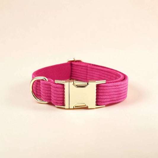 Pink dog collar with gold buckle on a beige background