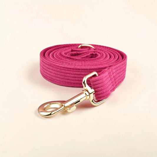Pink dog lead with gold clip on a beige background