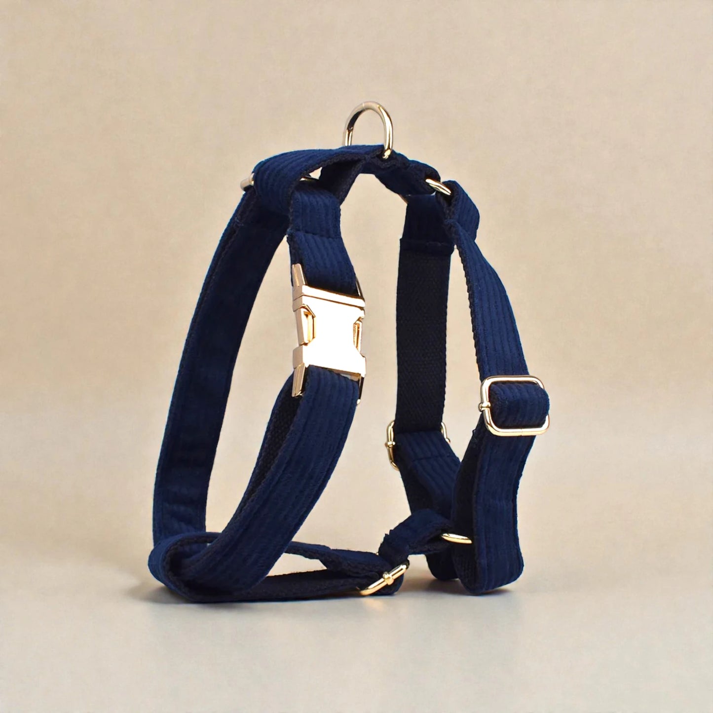Navy blue dog harness with gold hardware on a beige background