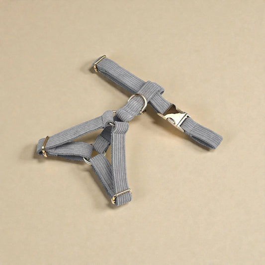 Grey dog harness with metal hardware on a beige background