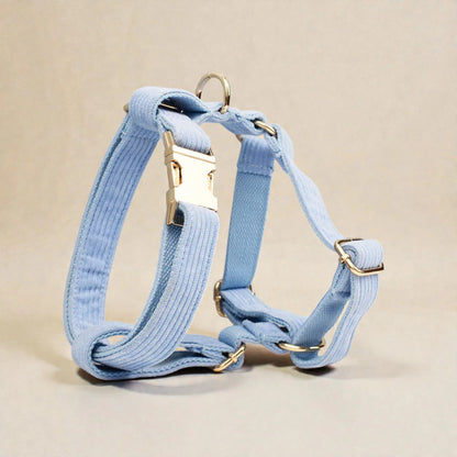Light blue dog harness with gold hardware on a beige background
