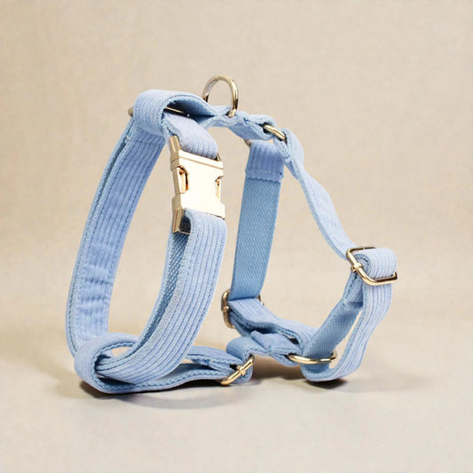 Light blue dog harness with gold hardware on a beige background