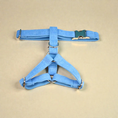 Blue dog harness on a beige background