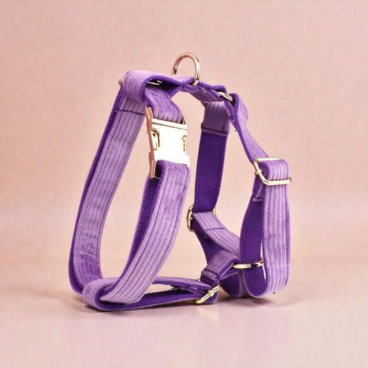 Purple dog harness on a light pink background