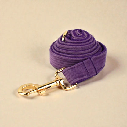 Purple dog lead with gold hardware on a beige background