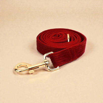 Red dog lead with gold clasp on a beige background
