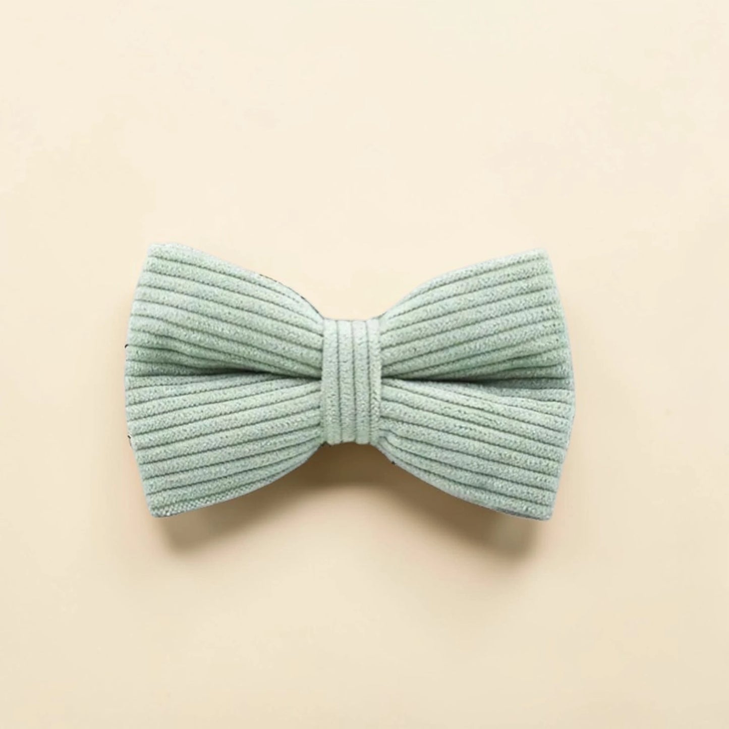Light green dog bow tie on a beige background