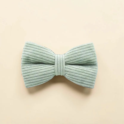 Light green dog bow tie on a beige background