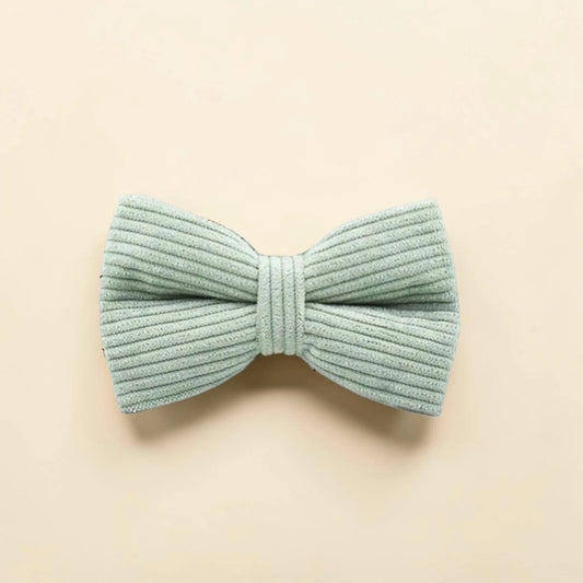 Light green dog bow tie on a beige background