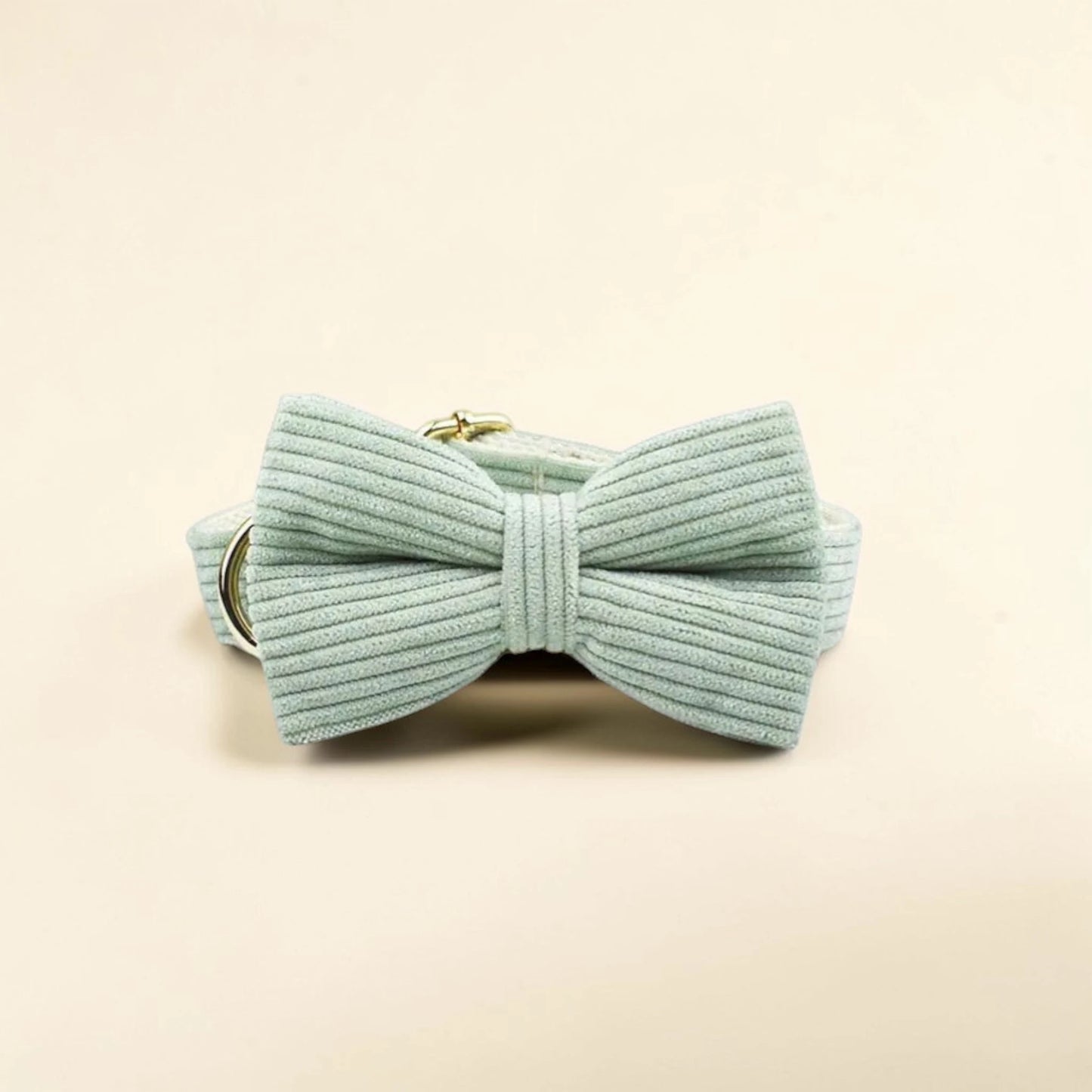 Light green dog bow tie on a beige background