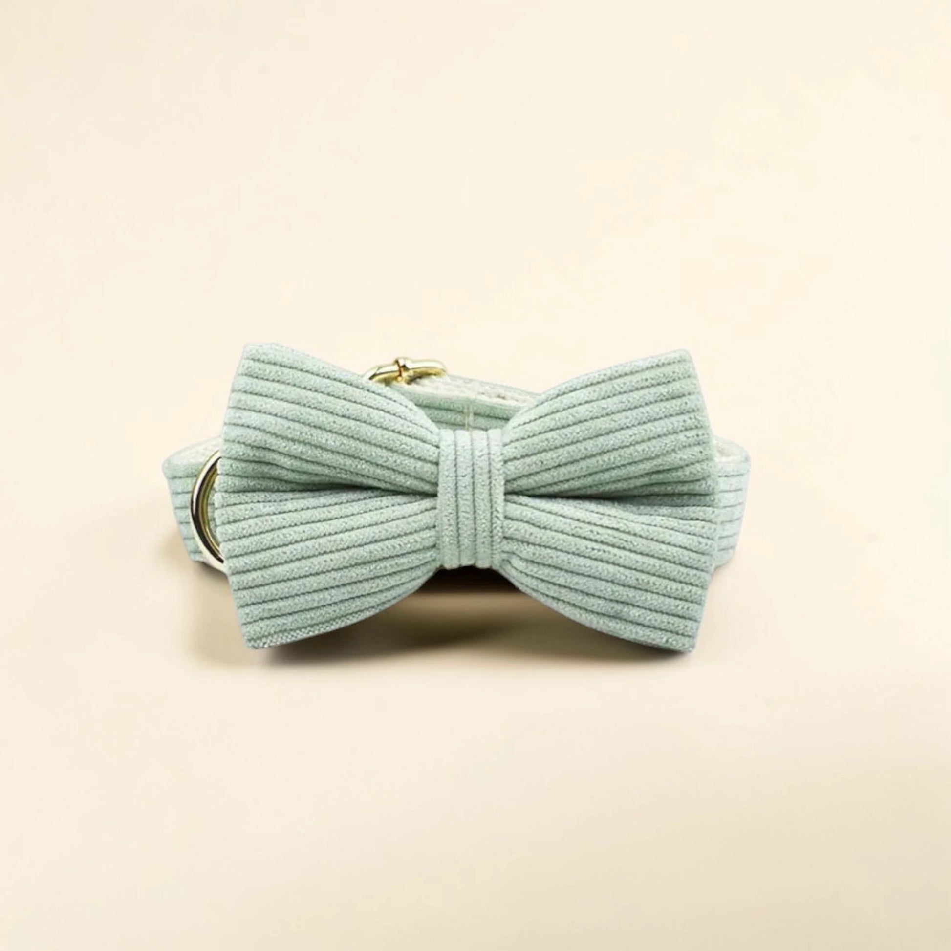 Light green dog bow tie on a beige background