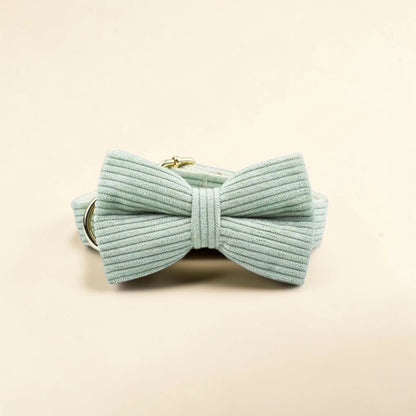 Light green dog bow tie on a beige background