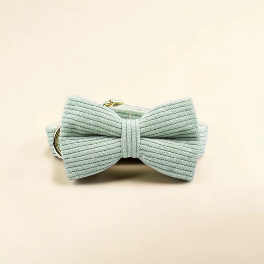 Light green dog bow tie on a beige background