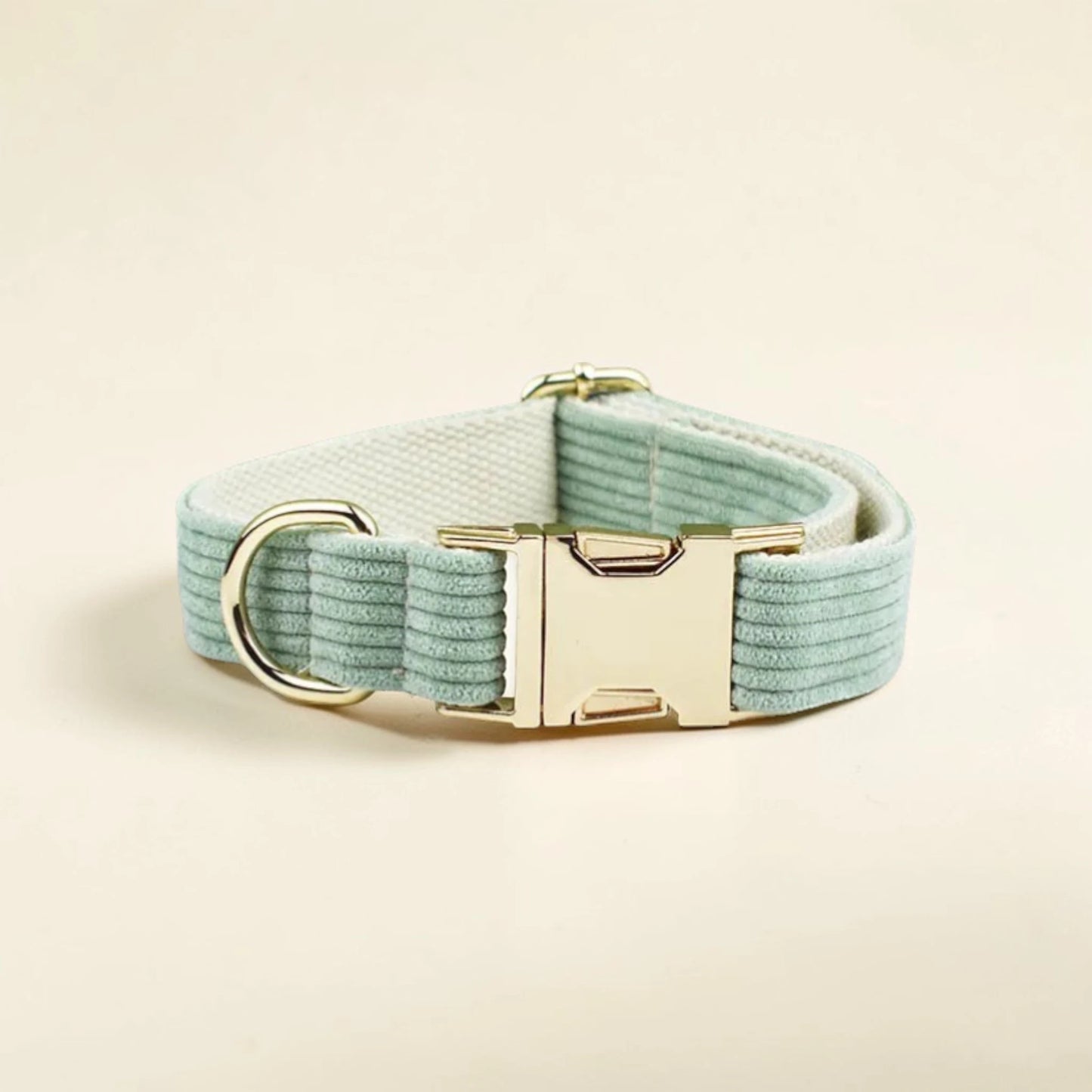 Light green dog collar with gold hardware on a beige background