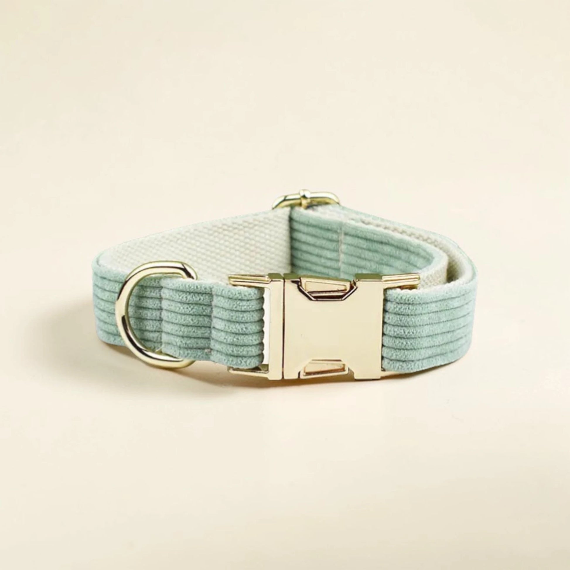Light green dog collar with gold hardware on a beige background