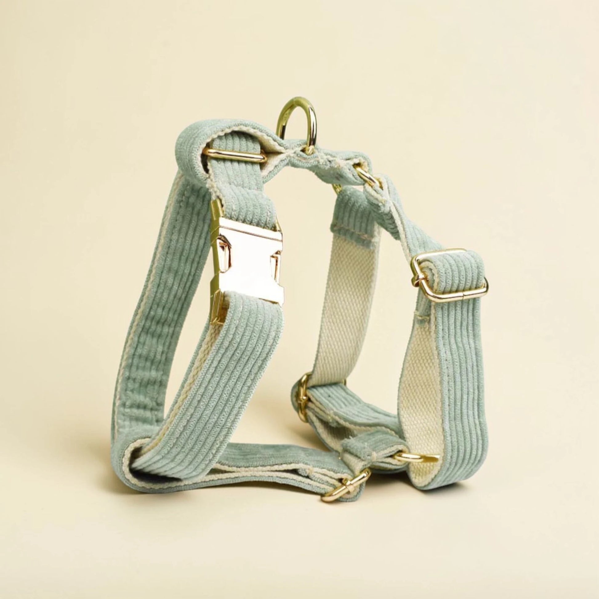 Light green dog harness with gold hardware on a beige background