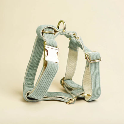 Light green dog harness with gold hardware on a beige background
